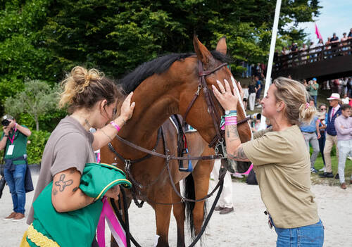 Description de l'image