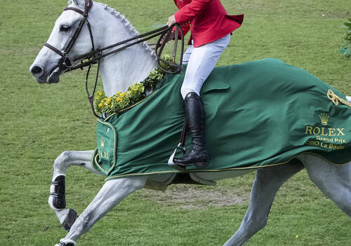  GREYA, Kent FARRINGTON