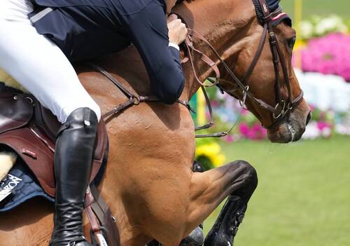 Grand Prix; Max Kuhner & Elektric Blue P. Photo (C) Rolex/Sportfot