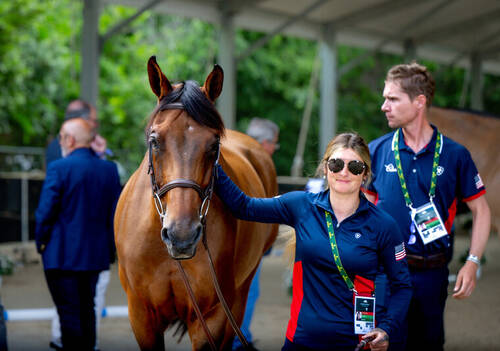 Description de l'image