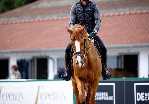 Daniel Deusser de retour à La Baule