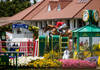 50 CAVALIERS, UN SEUL OBJECTIF : QUI REMPORTERA LE ROLEX GRAND PRIX VILLE DE LA BAULE?