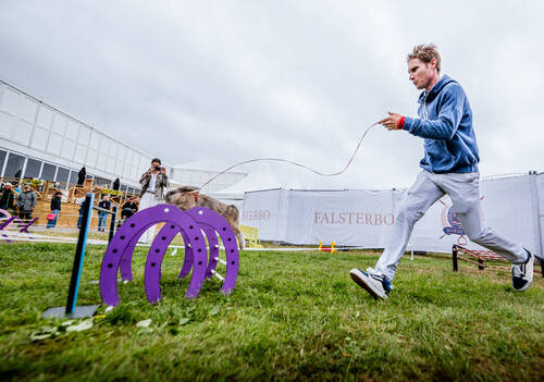 Description de l'image