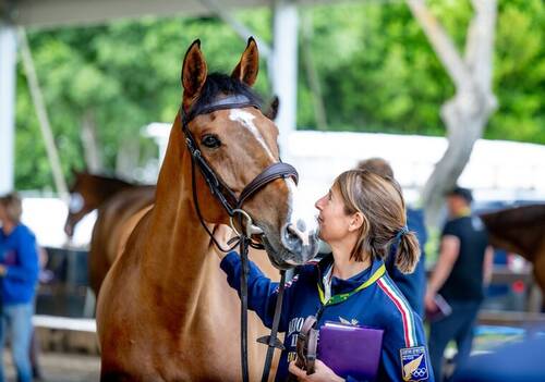 The 92nd edition of CSIO Roma - Piazza di Siena, a Rolex Series event, is underway