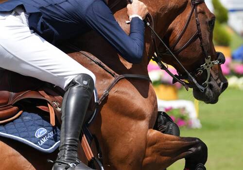Grand Prix; Gregory Wathelet & Bond Jamesbond De Hay. Photo (C) Rolex/Sportfot