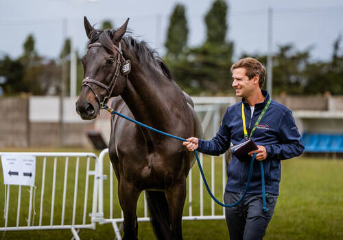 Description de l'image