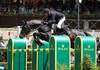 grand prix; 747, Curcuma IL Palazzetto, Lorenzo de Luca; Sportfot
