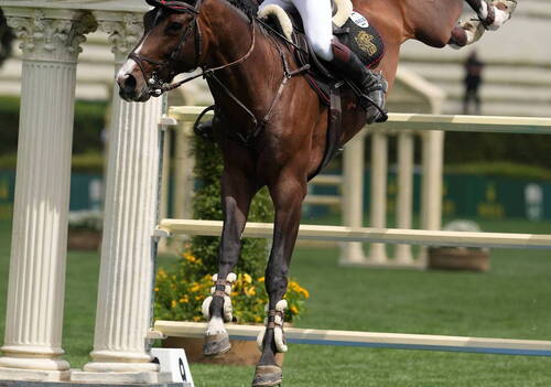 Grand Prix;Salim Ahmed Al Suwaid & Foncetti Vd Heffinck. Photo(c) Rolex/Sportfot