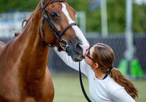 Description de l'image