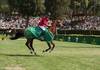 CSIO Roma 2024 (C) Rolex / Sportfot