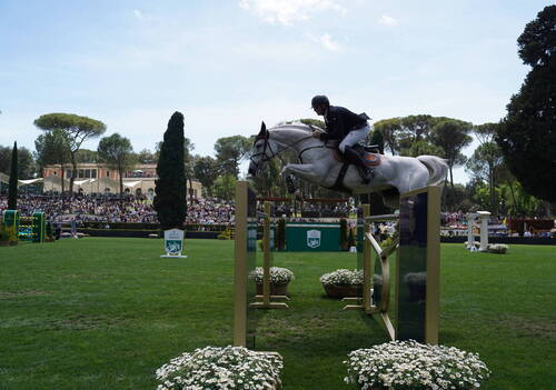 grand prix; 767, Ennebel van het Posthuijs, Peter Petschenig; Sportfot