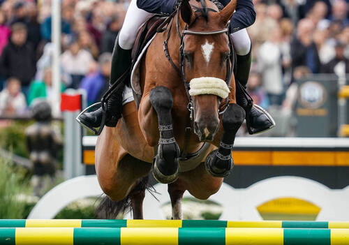 Niels Bruynseels (BEL) riding Matador during the Brussels Stephex Masters on August 25, 2023 in Brussels, Belgium. (Photo by Pierre Costabadie/Icon Sport)