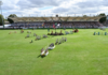 PROCHAIN ÉVÉNEMENT : RDS DUBLIN HORSE SHOW ! LE COMPTE À REBOURS EST LANCÉ POUR LE ROLEX GRAND PRIX D’IRLANDE