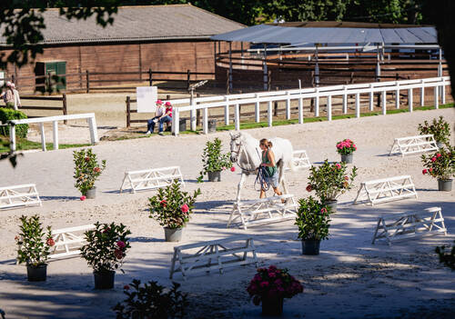 Les meilleurs cavaliers du monde se donnent rendez-vous au Jumping International de Dinard pour une édition d'exception
