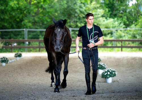 Description de l'image