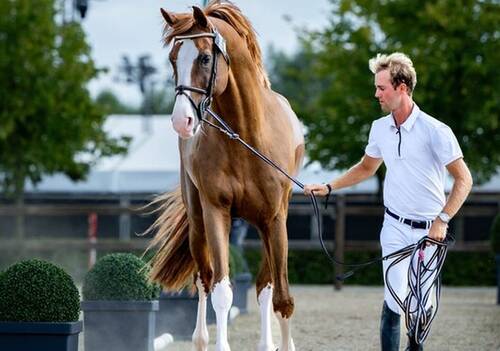 Description de l'image