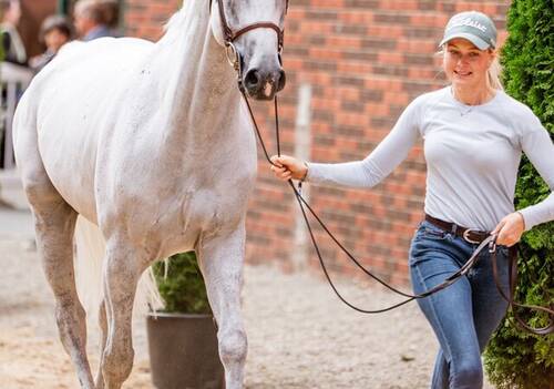 VET CHECK @ROLEXSERIES