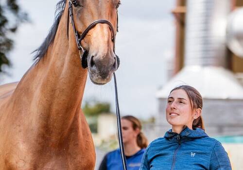 VET CHECK @ROLEXSERIES