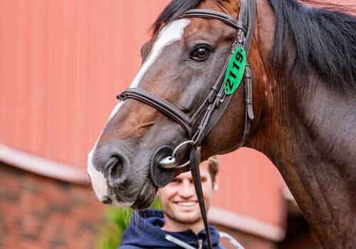 VET CHECK @ROLEXSERIES