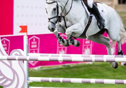 Shane Sweetnam eyes Dinard success