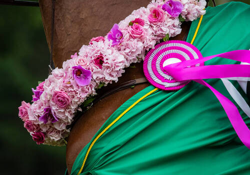 Jumping de Dinard 2023. Rolex Grand Prix Ville de Dinard. Remise des prix. 
Max KUHNER (AUT). ELEKTRIC BLUE P
© Images'Inn Photographie