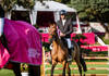 Richard Vogel vise la victoire dans le Rolex Grand Prix de Dinard