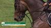 Peder Fredricson avec Alcapone des Carmille - CSIO 5* La Baule 2025 - Manche 1
