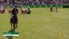 Steve Guerdat avec Dynamix de Belheme - CSIO 5* Falsterbo 2025 - Manche 2
