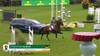 Christian Kukuk avec Just Be Gentle - CSIO 5* Bruxelles 2025 - Manche 1