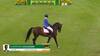 Christian Ahlmann avec Dourkhan Hero Z - CSIO 5* Bruxelles 2025 - Manche 2