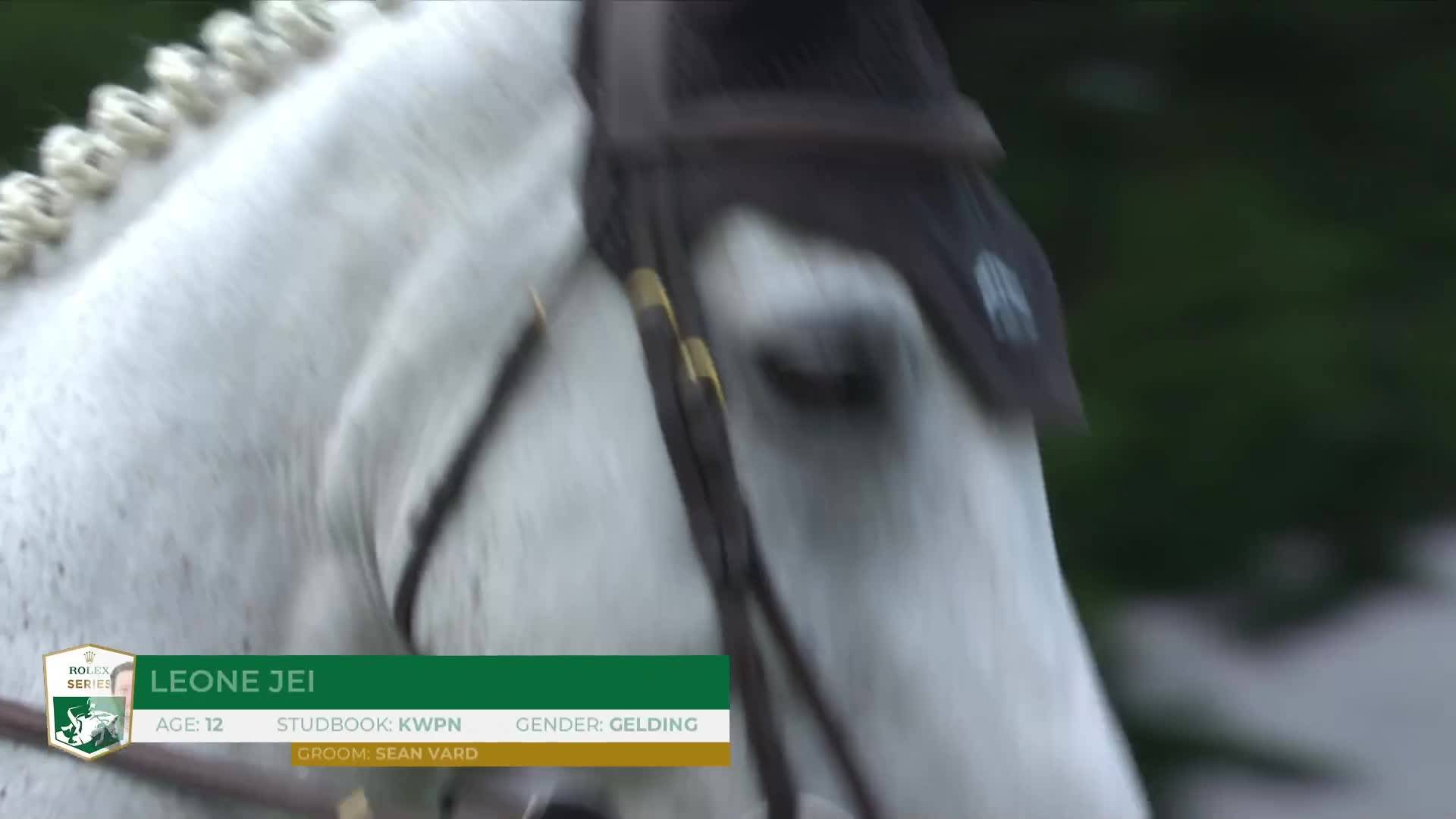 Martin Fuchs avec Leone Jei - Jumping International CSIO5* - CSI1* 2024 - Manche 1