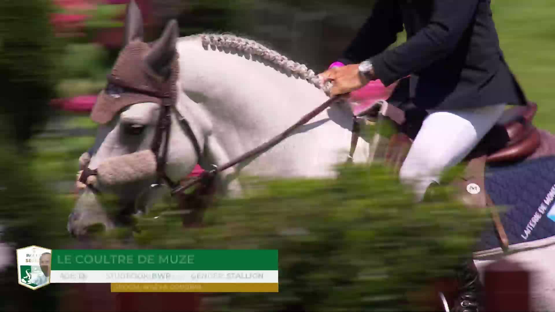 Stephan De Freitas Barcha avec Dinozo Imperio Egipcio - CSIO 5* Bruxelles 2025 - Manche 1