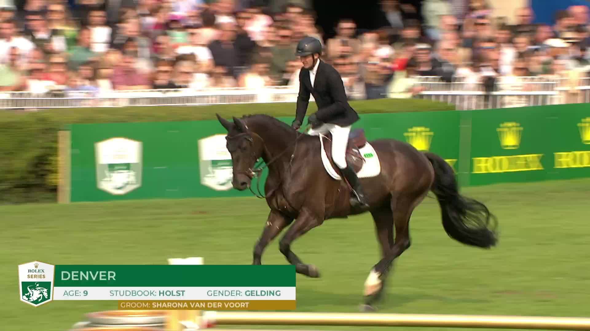 Michael Greeve avec Denver - Dublin Horse Show 2024 - Manche 1