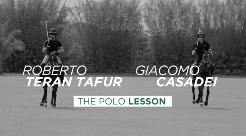 Leçon de Polo - Wellington 