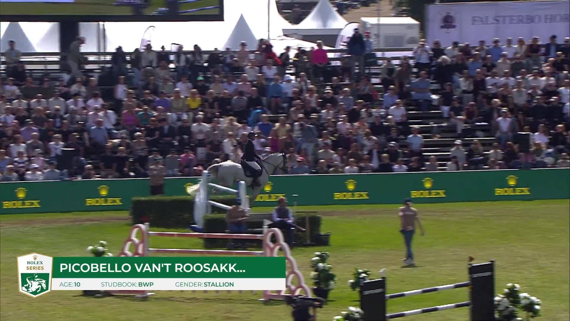 Jason Smith avec Picobello Van't Roosakker - CSIO 5* Falsterbo 2025 - Manche 1