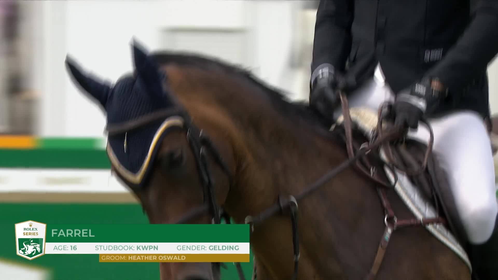 Daniel Coyle avec Farrel - CSIO 5* Dublin 2026 - Manche 1