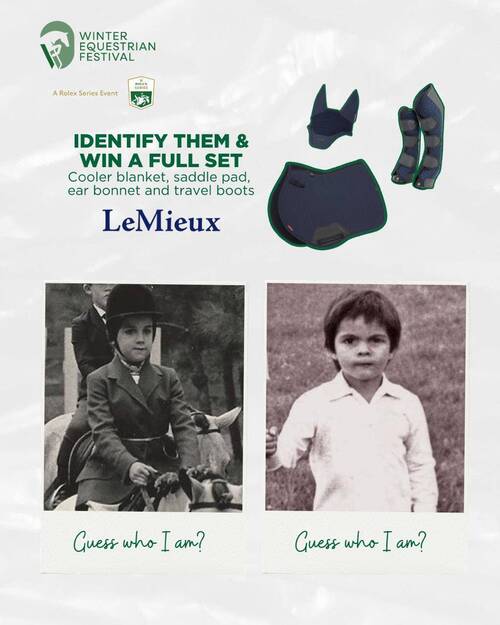 WHO IS IT WELLINGTON?