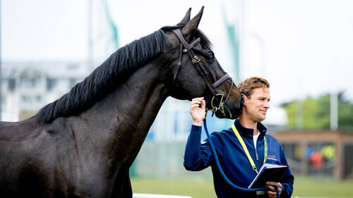 JUMPING INTERNATIONAL DE LA BAULE - OFFICIEL DE FRANCE 2025