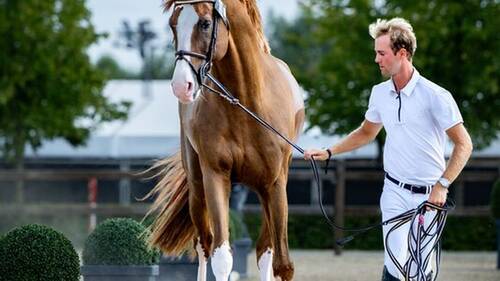 BRUXELLES STEPHEX MASTERS 2025