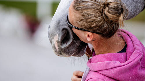 JUMPING INTERNATIONAL DE DINARD 2025