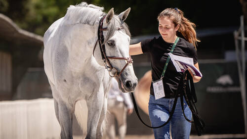 CSIO ROMA PIAZZA DI SIENA 2026